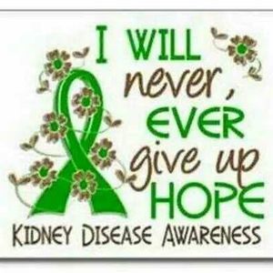 Meet your Posher, Phyllis